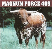 MAGNUM FORCE 409